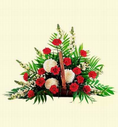 Argentinaflowers Funerals for Argentina