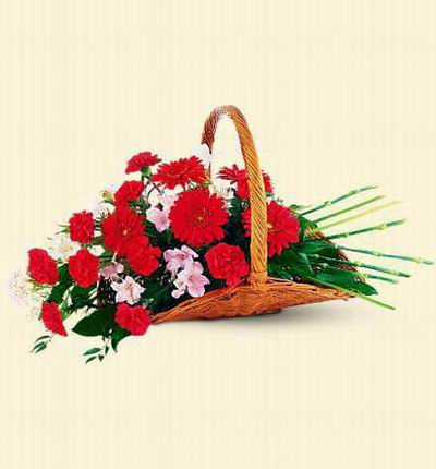 Argentinaflowers Funerals for Argentina