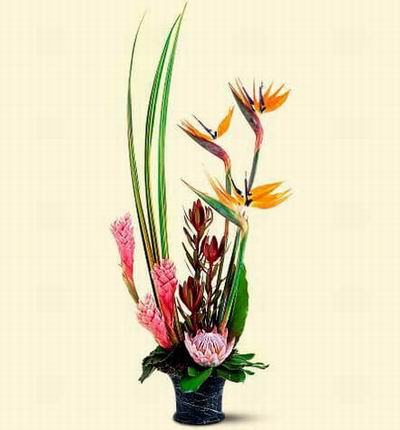 Argentinaflowers Funerals for Argentina