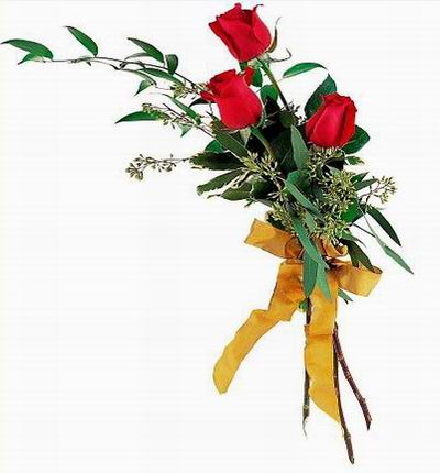 Argentinaflowers Funerals for Argentina