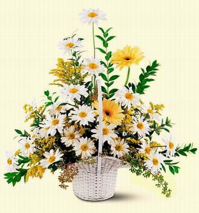 Argentinaflowers Funerals for Argentina