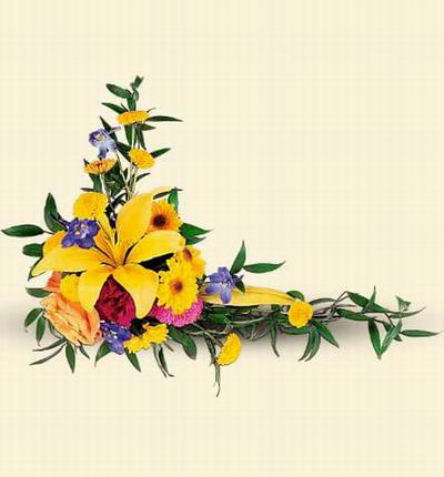 Argentinaflowers Funerals for Argentina