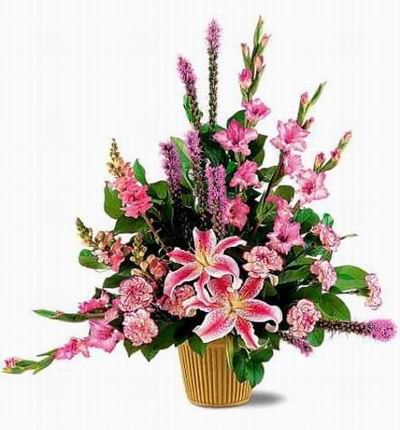 Argentinaflowers Funerals for Argentina