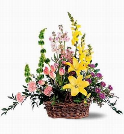 Argentinaflowers Funerals for Argentina