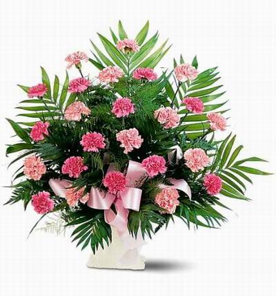 Argentinaflowers Funerals for Argentina