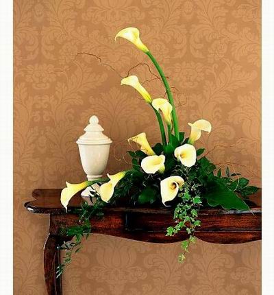 Argentinaflowers Funerals for Argentina