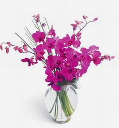 Singaporeroses Discount flowers for Singapore