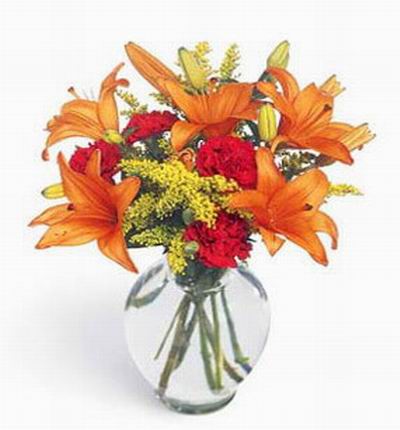 Hongkongroses Lilies for Hong Kong