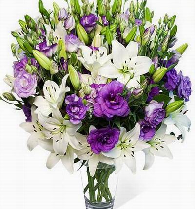 Hongkongroses Lilies for Hong Kong