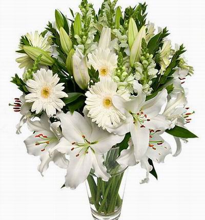 Hongkongroses Lilies for Hong Kong