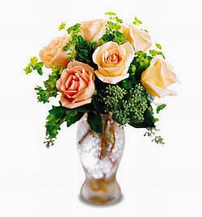 Malaysiaroses Roses for Malaysia