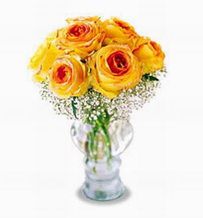 Malaysiaroses Roses for Malaysia
