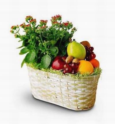 Shenzhenflowers Fruit baskets for Shenzhen