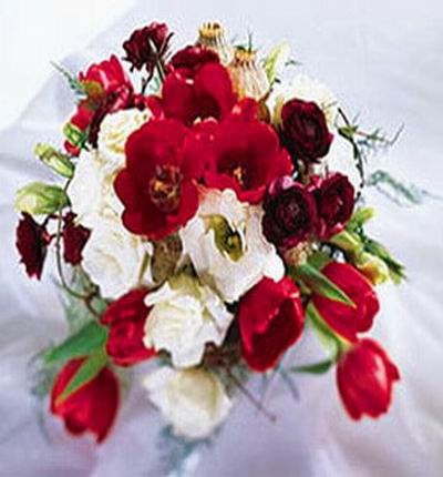 Shenzhenflowers Weddings for Shenzhen