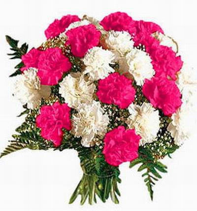 Singaporeflowerstore Carnations for Singapore