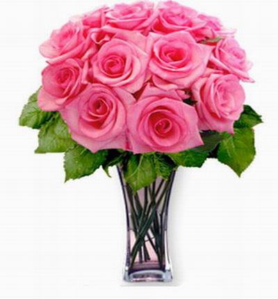Asiaroses Lilies for Asia