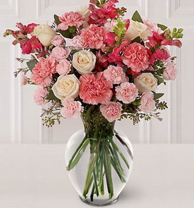 Singaporeflowerstore Carnations for Singapore