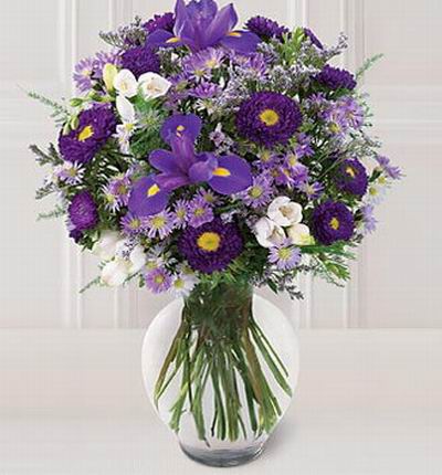 Floristcare Iris for Asia
