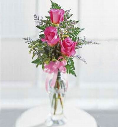 Malaysiaroses Roses for Malaysia