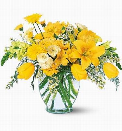 Asiaroses Premium flowers for Asia