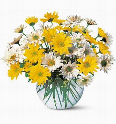 Argentinaflowers Funerals for Argentina