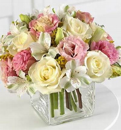 Singaporeroses Anniversary for Singapore
