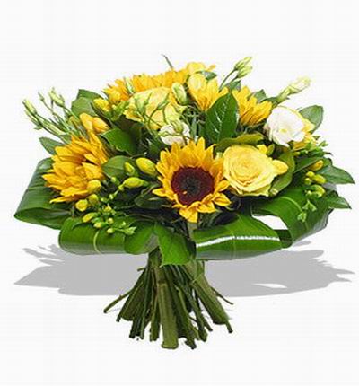 Asiaroses Sunflowers for Asia