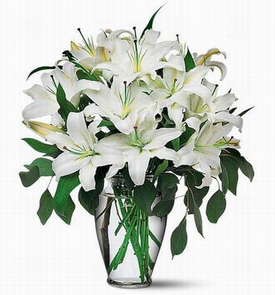 Singaporeroses Discount flowers for Singapore