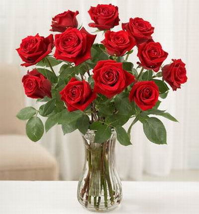 Shenzhenflowers Valentines gifts for Shenzhen