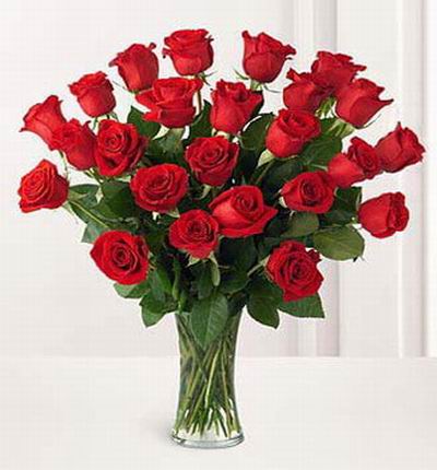Shenzhenflowers Valentines gifts for Shenzhen