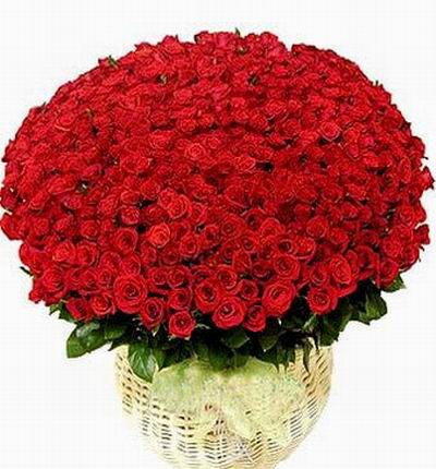 Russiaroses Rose bouquets for Russia
