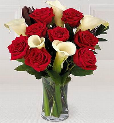 Singaporeroses Anniversary for Singapore