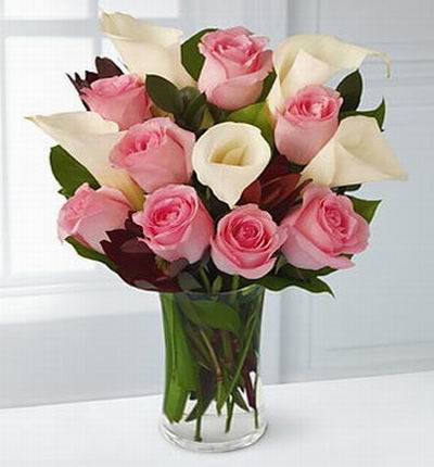 Singaporeroses Anniversary for Singapore