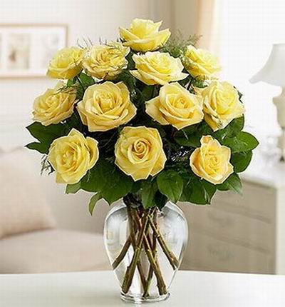 Malaysiaroses Roses for Malaysia