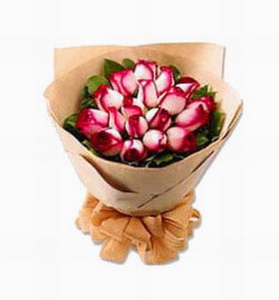 Asiaroses Events for Asia