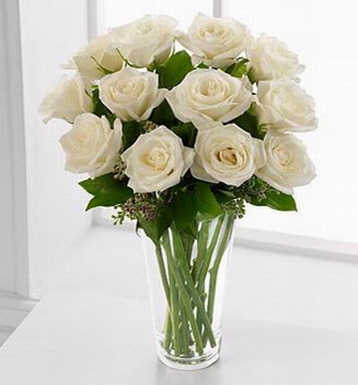 Malaysiaroses Roses for Malaysia