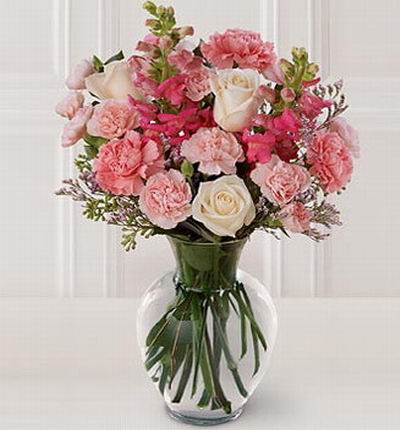 Singaporeflowerstore Carnations for Singapore