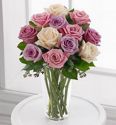 Malaysiaroses Roses for Malaysia
