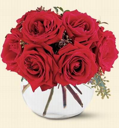 Philippineroses Roses for Philippines