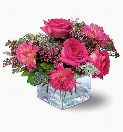 Singaporeroses Roses for Singapore