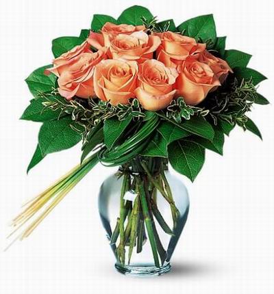 Singaporeroses Birthdays for Singapore