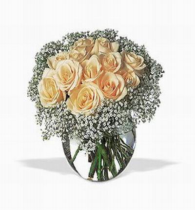 Singaporeroses Roses for Singapore