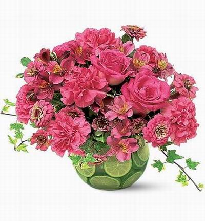 Singaporeflowerstore Carnations for Singapore