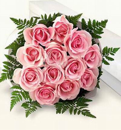 Singaporeroses Anniversary for Singapore