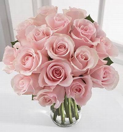 Shenzhenflowers Valentines gifts for Shenzhen