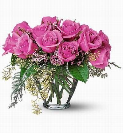 Malaysiaroses Roses for Malaysia
