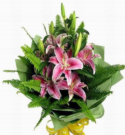 Hongkongroses Lilies for Hong Kong