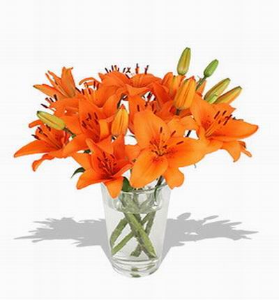 Hongkongroses Lilies for Hong Kong