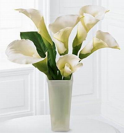 Asiaroses Lilies for Asia