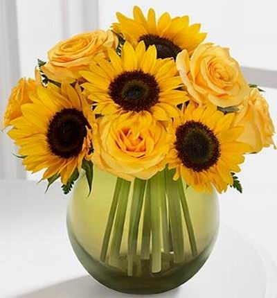 Asiaroses Sunflowers for Asia